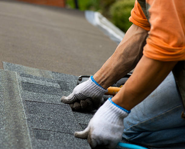 Best Storm Damage Roof Repair  in Willoughby, OH